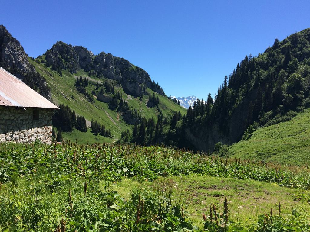 Les Balcons Du Leman Bed and Breakfast Thollon-les-Memises Buitenkant foto