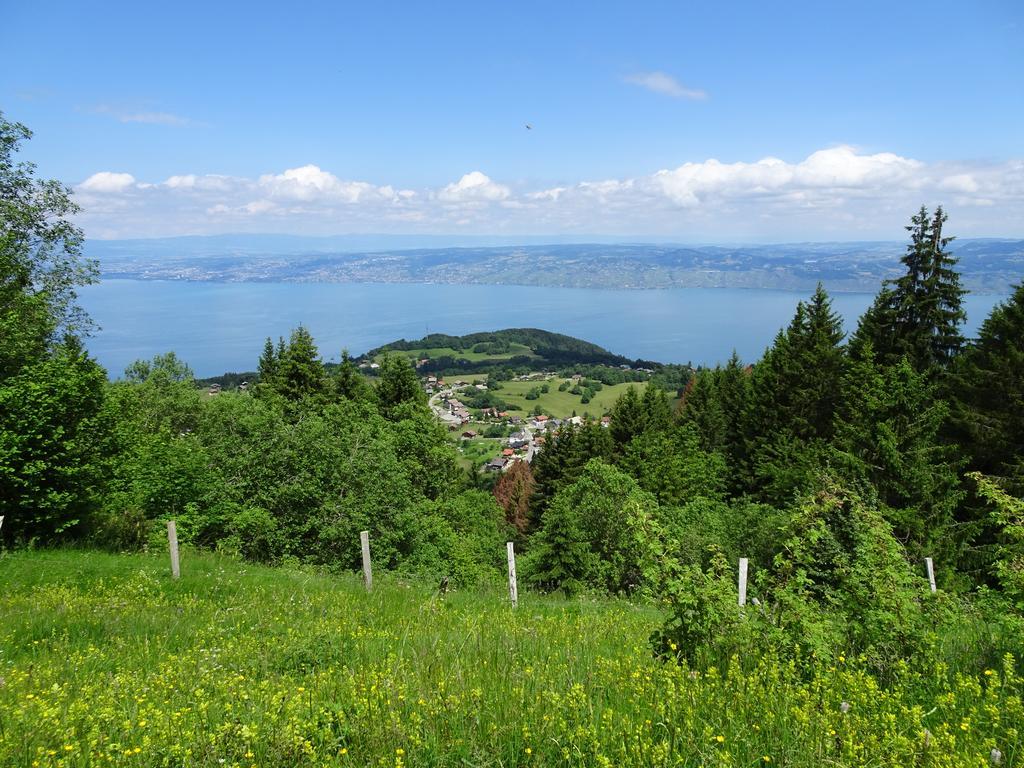Les Balcons Du Leman Bed and Breakfast Thollon-les-Memises Buitenkant foto