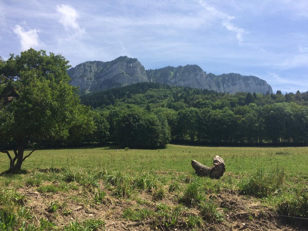 Les Balcons Du Leman Bed and Breakfast Thollon-les-Memises Buitenkant foto